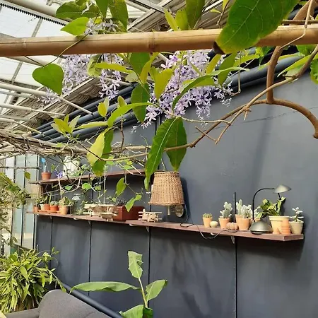 De Vlinderhof 4*